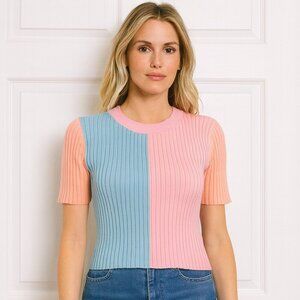 Evolutionary Colorblock Ribbed Knit Sweater Top Pink & Blue Short Sleeve Women’s